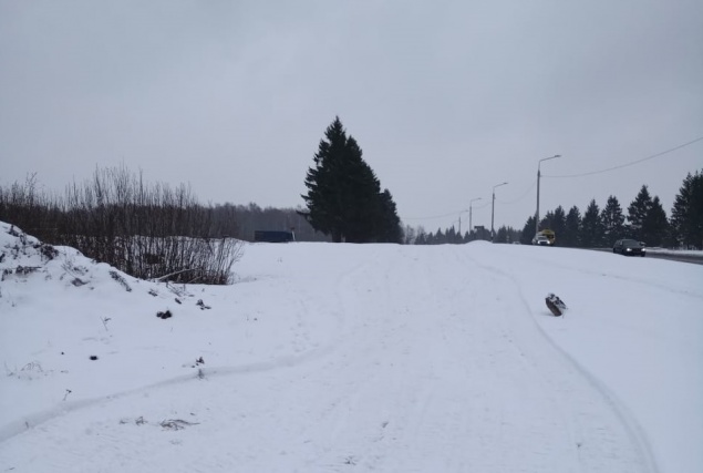 Площадки для зимних видов спорта обустроили в поселении Щаповское