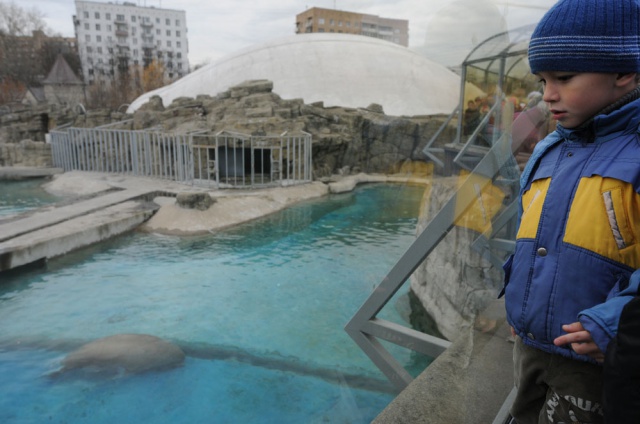 12 февраля гостей Московского зоопарка ждет масса бесплатных сюрпризов