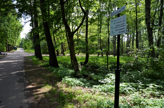Через 16 лет в Новой Москве создадут 90 парков
