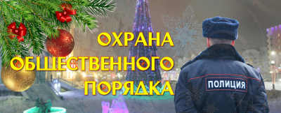 Общественный порядок в Новой Москве в новогодние и рождественские праздники обеспечивали более 800 сотрудников полиции