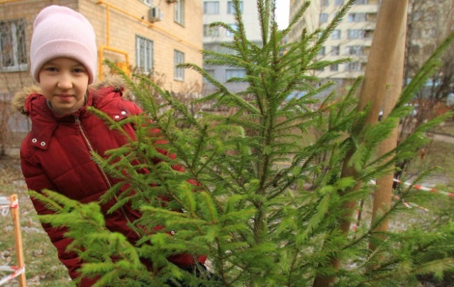 Высадку более 750 000 кустарников и деревьев планируют в 2020 году в Москве