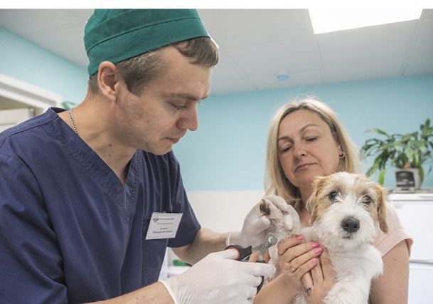 Вакцинация домашних животных пройдет в деревне Иваньково