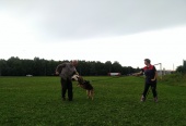 Спортивная тренировка собак прошла в поселке Щапово