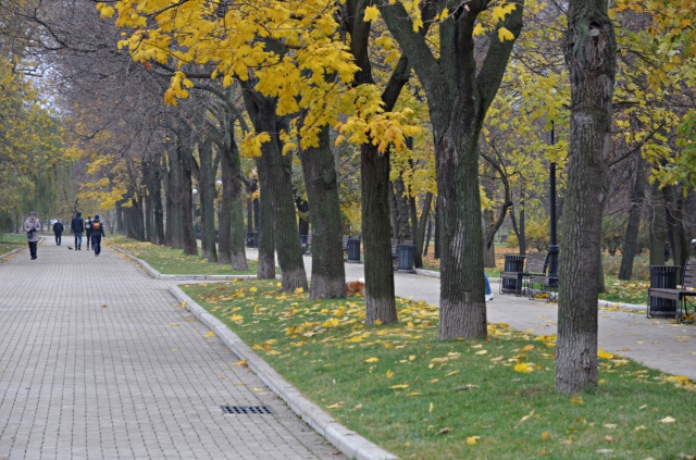 Москвичей пригласили на «Осенний марафон