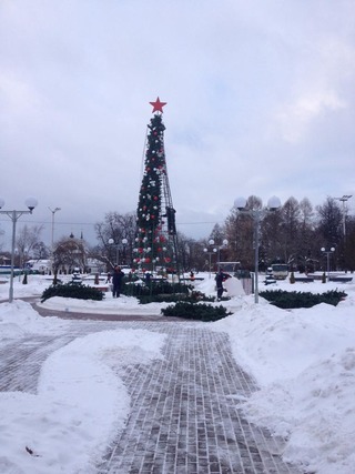 Демонтаж новогодних елок в поселении Щаповское