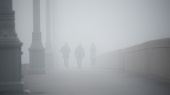 Туман спрогнозировали специалисты в столице