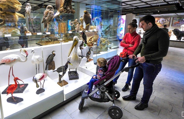 Горожане смогут бесплатно посетить более 80 музеев и галерей в период праздников