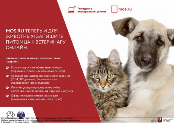 В один клик: как записаться с кошкой или собакой к ветеринару через mos.ru