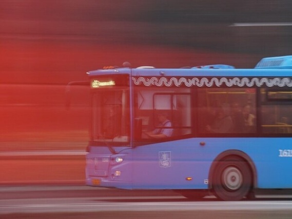 Автобусы на электробусы: более 100 единиц нового общественного транспорта запустили в Москве