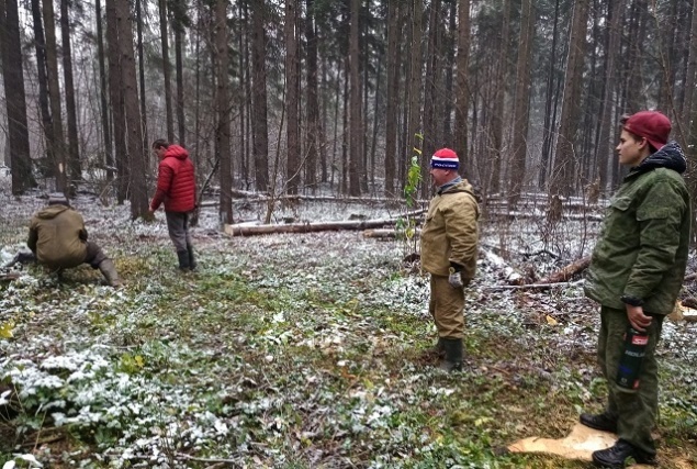 Работы по обустройству лыжных трасс проходят на территории лесного массива в поселке Щапово