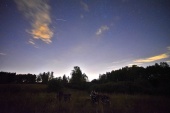 Москвичи смогут наблюдать Ориониды в ночь со среды на четверг