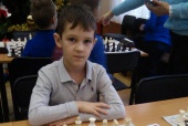 Шахматисты из поселения приняли участие в турнире «Новогодний гамбит»