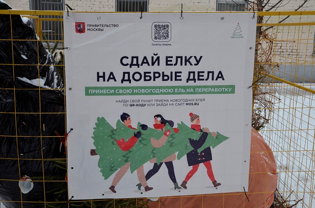 Жители Москвы могут найти применение застоявшейся елке