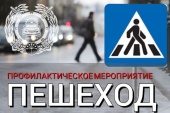 В Новой Москве пройдет профилактическое мероприятие «Пешеход»