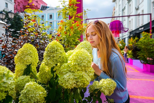 В Москве стартовал Фестиваль «Цветочный джем»