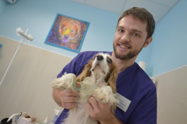 Ветеринары проведут вакцинацию животных в поселении Щаповское