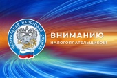 Правительство РФ уточнило условия предоставление субсидии МСП и СОНКО