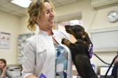 Более 500 ветеринаров ежегодно проходят повышение квалификации в учебном центре госветслужбы          