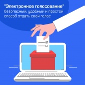 Электронную форму голосования по поправкам в Конституцию России выбрали почти миллион москвичей 