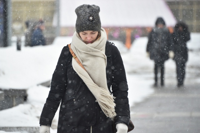 Специалисты предупредили москвичей о сильном ветре и мокром снеге