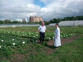 Преобладание сельскохозяйственных территорий сохранится в Новой Москве