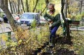Территорию Москвы украсят более чем 600 тысячами кустарников до конца года