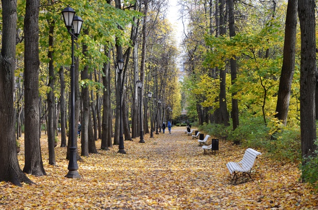 Более 120 гектаров парков обустроили в Новой Москве за 10 лет