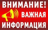 Тематическое консультирование граждан по вопросам качества и безопасности детских товаров и школьных принадлежностей