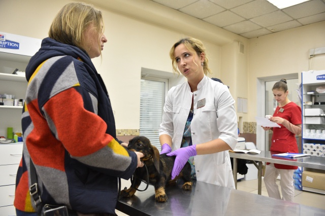 Кампания по бесплатной вакцинации животных пройдет в деревне Шаганино