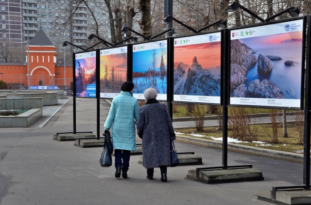 Выставки в парках перенесли в онлайн-формат