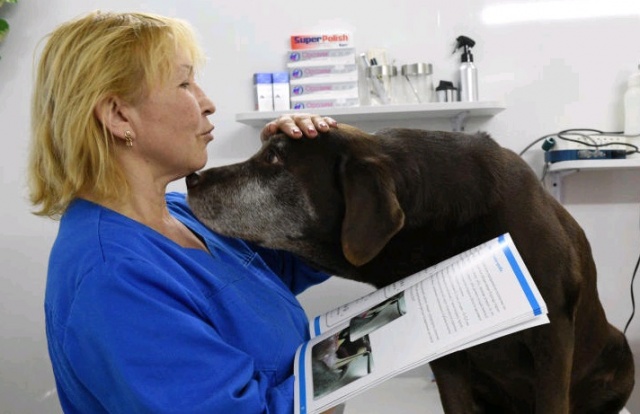 Приложением «Госуслуги Москвы» для записи к ветеринару воспользовались 2,3 тысячи раз