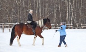 Конноспортивный клуб «Пегас» приглашает на Кубок по конкуру