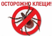 Жителям Щаповское поселения напоминают об опасности укуса клещей