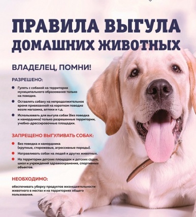 Правила выгула собак на территории поселения Щаповское