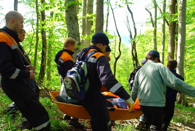 Московские спасатели проводят поиски заблудившихся в лесу людей
