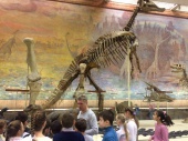 Школьники посетили Палеонтологический музей