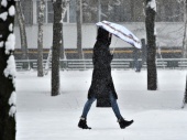 Синоптики предупредили об усилении ветра в столице 