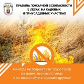 Правила противопожарной безопасности лесопарковых зон
